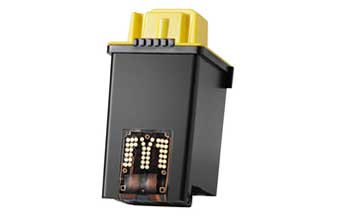 Print Collor - Foto 1