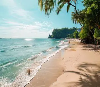lugares para conhecer em Guriri