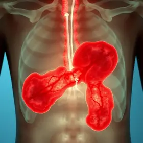 casos de hanseníase