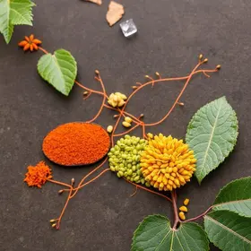 Rota das Especiarias