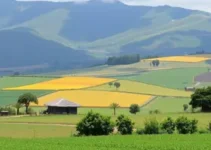 futuro tributário do agro