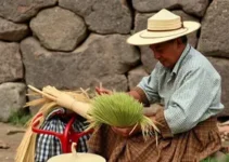 quilombos de produção artesanal de beiju em São Mateus