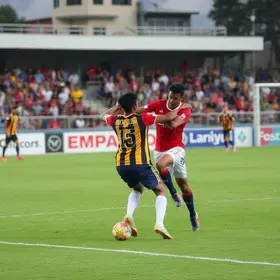 Aroeira goleia