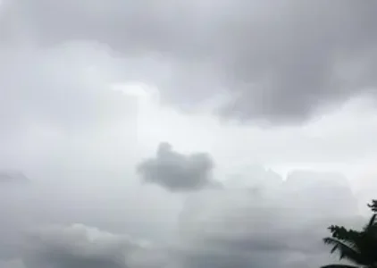 Últimas noticias de São Mateus