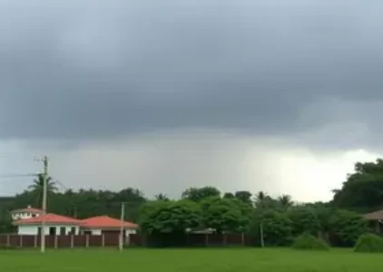Últimas noticias de São Mateus