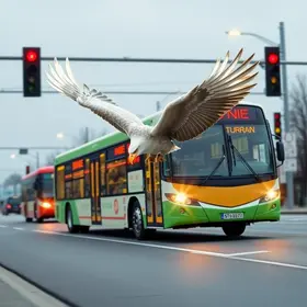 linhas mais movimentadas