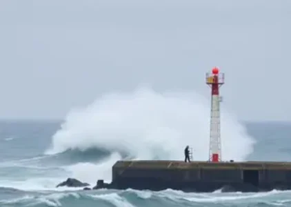 Últimas noticias de São Mateus