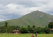 Diálogos ASSENOR