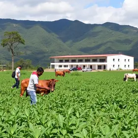 Centro de Capacitação do SENAR-ES