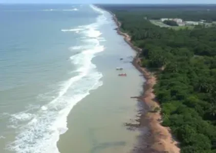 Últimas noticias de São Mateus