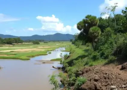 Últimas noticias de São Mateus