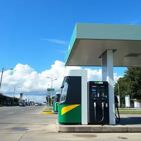 gasolina