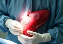 transplante de fígado