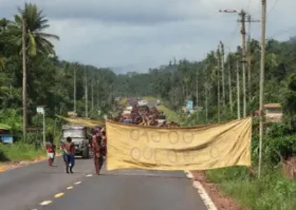 Últimas noticias de São Mateus