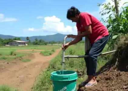 Últimas noticias de São Mateus