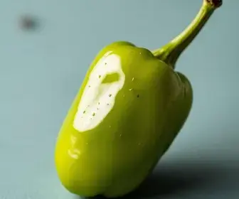 pimenta-do-reino de São Mateus